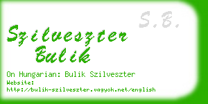 szilveszter bulik business card